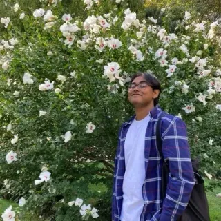 Agishan Thaya
